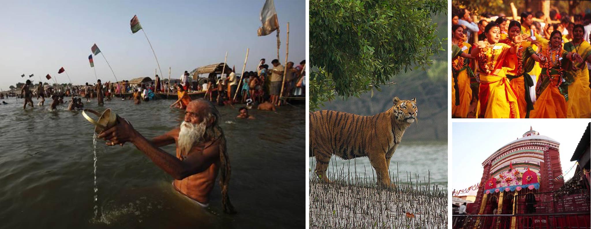  Feel the vibes of Bengal